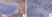 Anti Rat IgG (Mouse Adsorbed) Ab - HRP thumbnail image 8