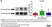 Anti Rat Interleukin-1 beta Antibody thumbnail image 3