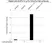 Anti p38 MAPK (pThr180/pTyr182) Antibody (Polyclonal Antibody Antibody) thumbnail image 4