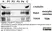 Anti Rat TGN38 Antibody thumbnail image 3