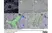 Anti Rat TGN38 Antibody thumbnail image 5