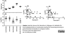 Anti Sheep IgA Antibody gallery image 6