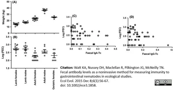 Anti Sheep IgA Antibody gallery image 6