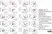 Rabbit Anti Sheep IgG (H/L) Antibody thumbnail image 1