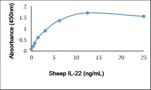 Anti Sheep Interleukin-22 Antibody gallery image 1