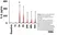 Anti Sheep Interleukin-6 Antibody thumbnail image 1