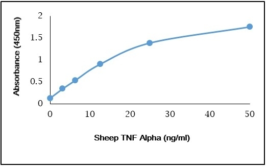 Anti Sheep TNF Alpha Antibody gallery image 1