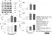 Anti Histone H4 (Acetylated) Antibody thumbnail image 3
