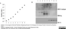 Anti Hepatitis B Surface Antigen Antibody gallery image 1