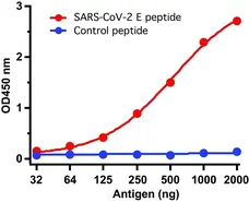 Anti SARS-CoV-2 Envelope Antibody gallery image 1