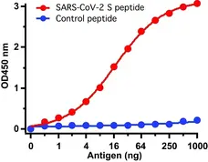 Anti SARS-CoV-2 Spike Protein Antibody gallery image 3