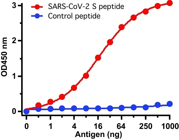 Anti SARS-CoV-2 Spike Protein Antibody gallery image 3