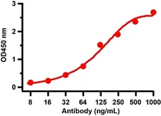 Anti SARS-CoV-2 Spike Protein Rbd Antibody gallery image 5