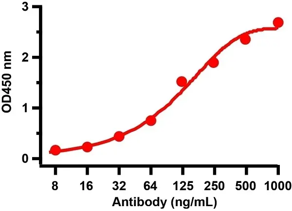 Anti SARS-CoV-2 Spike Protein Rbd Antibody gallery image 5