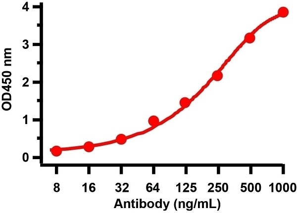 Anti SARS-CoV-2 Spike Protein S1 Antibody gallery image 3