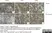 Recombinant Chicken Interferon Alpha thumbnail image 3