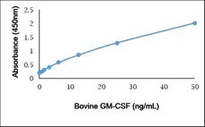 Recombinant Bovine GM-CSF gallery image 1