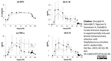 Recombinant Bovine Interleukin-1 beta gallery image 1