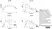 Recombinant Bovine Interleukin-1 beta thumbnail image 1