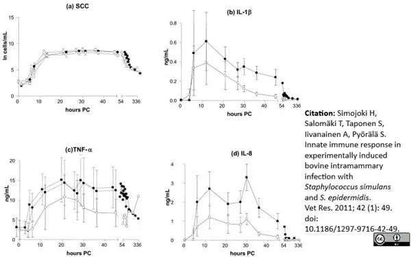 Recombinant Bovine Interleukin-1 beta gallery image 2