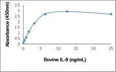 Recombinant Bovine Interleukin-8 gallery image 1