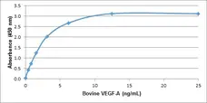 Recombinant Bovine VEGF-A gallery image 1