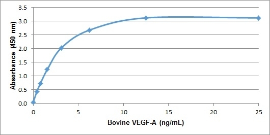 Recombinant Bovine VEGF-A gallery image 1