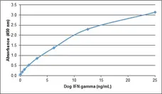 Recombinant Dog Interferon Gamma gallery image 1