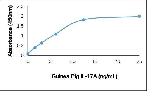Recombinant Guinea Pig Interleukin-17A gallery image 1