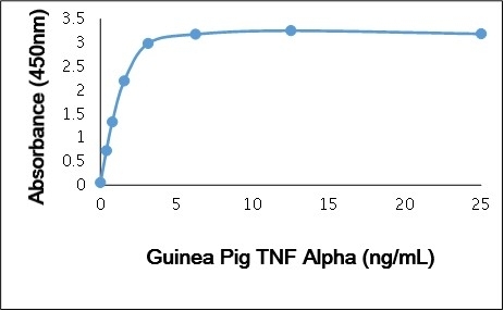 Recombinant Guinea Pig TNF Alpha gallery image 1
