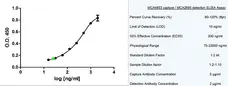 Recombinant Human Adiponectin gallery image 2