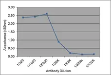 Native Human C-Reactive Protein gallery image 1