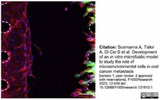 Recombinant Human EGF gallery image 1