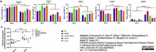 Recombinant Human Interferon Gamma gallery image 1