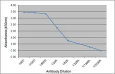 Recombinant Human IgE Lambda, clone AbD00264_hIgE gallery image 1