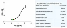 Recombinant Human MCP-1/Mcaf gallery image 1