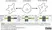 Recombinant Mouse Interferon Gamma thumbnail image 4