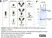 BiSpyCatcher2 thumbnail image 6