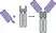 Human IgA-FcSpyCatcher3 thumbnail image 1
