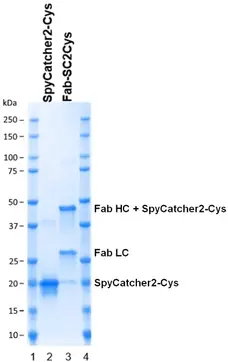 SpyCatcher2 gallery image 4
