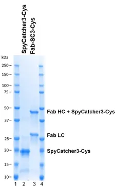SpyCatcher3 gallery image 3