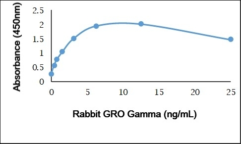 Recombinant Rabbit GRO Gamma gallery image 1