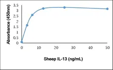 Recombinant Sheep Interleukin-13 gallery image 1