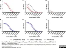 Recombinant Dengue Virus Type 1 NS1 Antigen gallery image 1