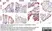 Permanent Aqueous Mounting Medium thumbnail image 1