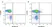 Cell Stimulation Reagent (with Brefeldin A) (500X) thumbnail image 3