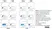Cell Stimulation Reagent (with Brefeldin A) (500X) thumbnail image 5