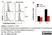 Cytotrack Blue 403/454 Cell Proliferation Assay Kit thumbnail image 3