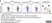 Cytotrack Blue 403/454 Cell Proliferation Assay Kit thumbnail image 4