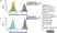 Human Seroblock thumbnail image 4